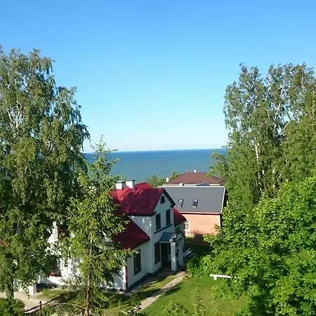 Virulase Toila