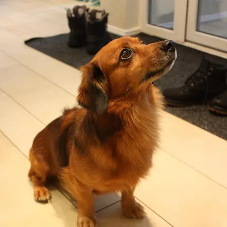 Semesterbostad Virulase Toila