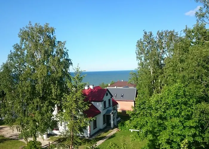 Virulase Holiday Toila