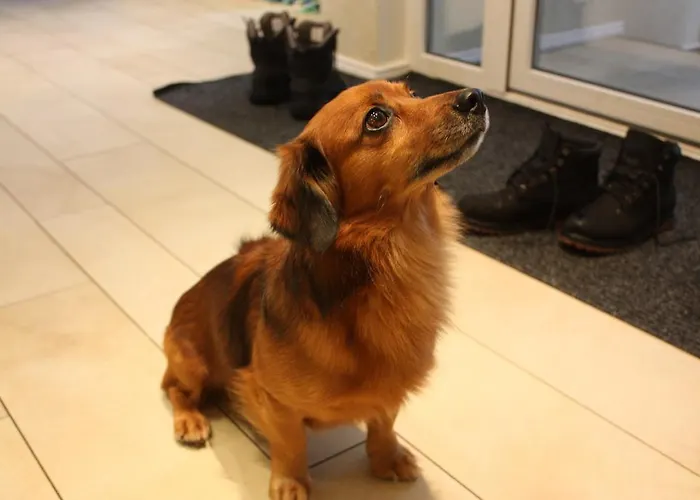 Dom wakacyjny Virulase Toila